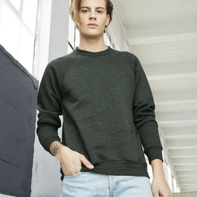 Sponge Fleece Raglan Crewneck Sweatshirt Thumbnail