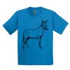 GILDAN® ULTRA COTTON® YOUTH T-SHIRT Thumbnail