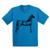 GILDAN® ULTRA COTTON® YOUTH T-SHIRT Thumbnail